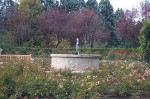 P1000740