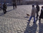 A wiener at Versailles.
