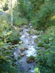 DSC02844