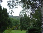 DSC02539