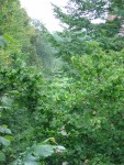 DSC02637