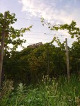 DSC03058