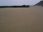 DSC03560