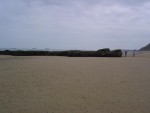 DSC03561