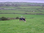 DSC04067