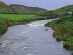 DSC04069