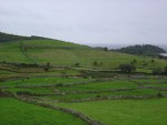 DSC04113