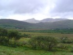 DSC04118