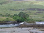 DSC04122