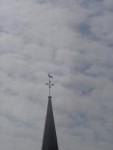 DSC03901