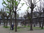 DSC03645