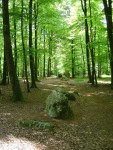DSC03881
