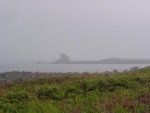 DSC03864