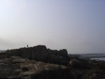 DSC03867