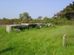 DSC03874