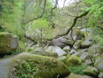 DSC03847