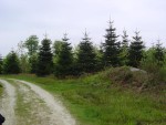 DSC03849