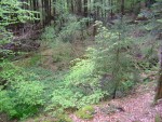 DSC03851