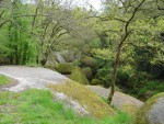DSC03854