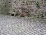 DSC03759