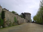 DSC03764
