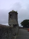 DSC04268
