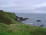 DSC04295