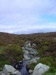 Sally's Gap