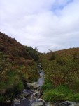 DSC04411