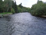 DSC04418