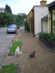 Macreddin Village.