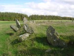 DSC04234