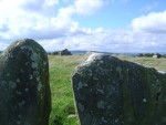 DSC04240