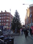 The 'tart with the cart' and her Christmas tree.