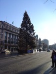 O'Connell Street Christmas tree...