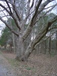 DSC05053