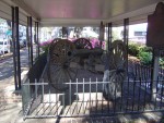 DSC05202