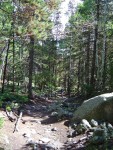 DSC05970