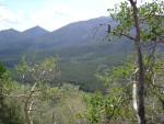 DSC05981