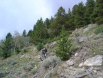 Highlight for Album: Rocky Mountain National Park