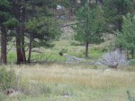 DSC05990