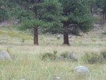 DSC05991