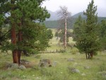 DSC05992