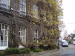 The oldest wisteria in the UK.