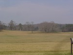 DSC05029