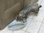 IMG 0880