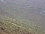 Those white dots are sheep.