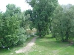 DSC05427