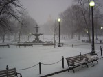 DSC00353