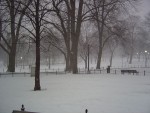 DSC00354